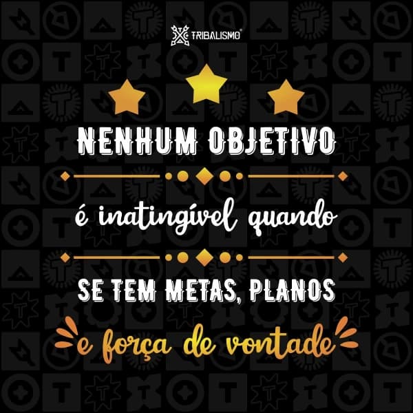 Nenhum objetivo é inatingível quando se tem metas, planos e força de vontade