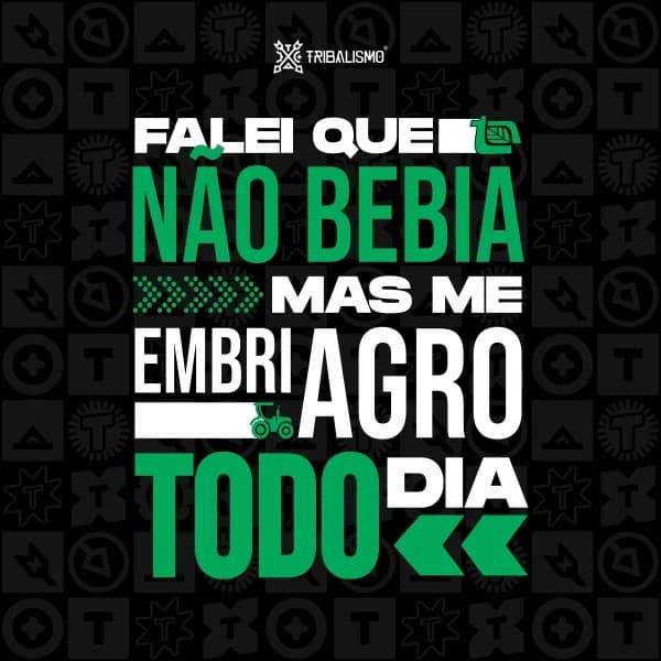 Falei que não bebia mas me embriagro todo dia