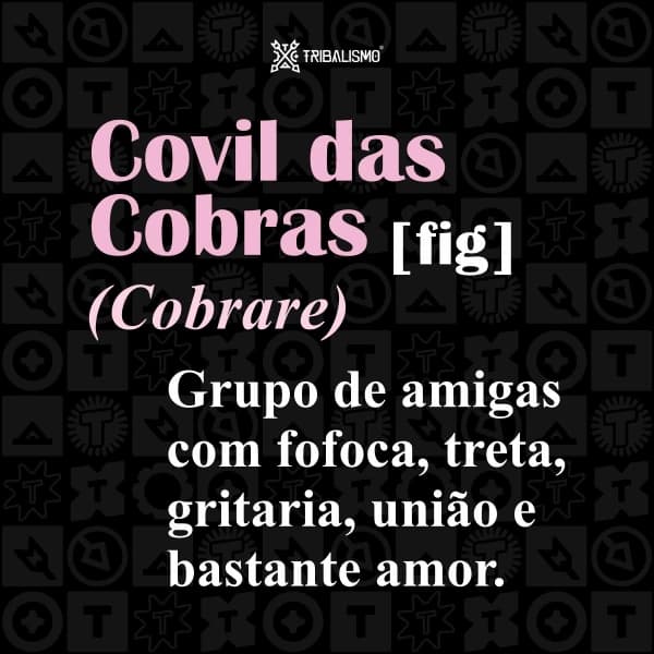 Grupo de amigas Covil das cobras